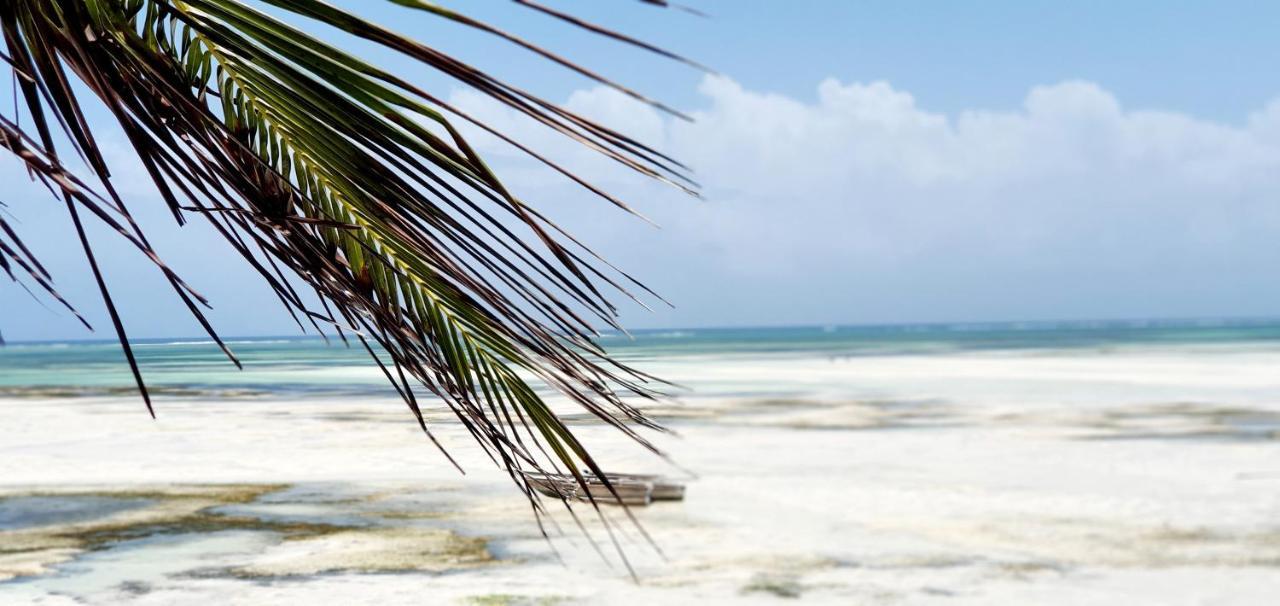 Arya Boutique Resort كيوينجوا المظهر الخارجي الصورة
